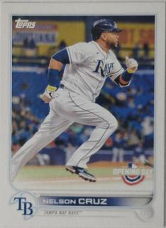 Nelson Cruz