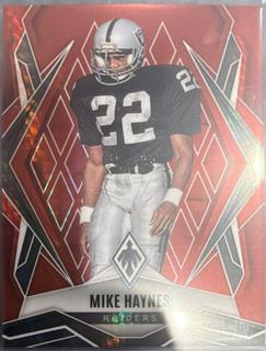 Mike Haynes