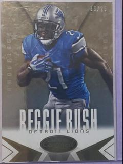 Reggie Bush