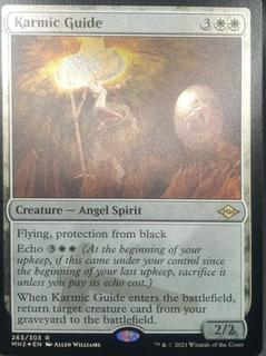 Karmic Guide