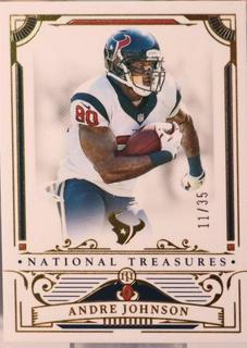 Andre Johnson