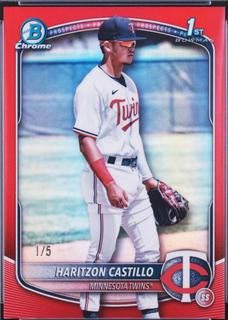 Haritzon Castillo