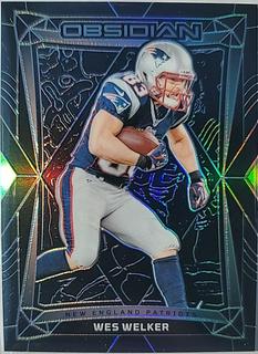 Wes Welker