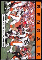 Bengals Team Leaders