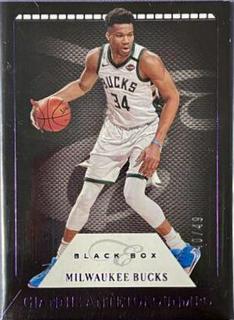 Giannis Antetokounmpo