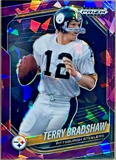 Terry Bradshaw