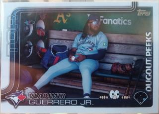 Vladimir Guerrero Jr.