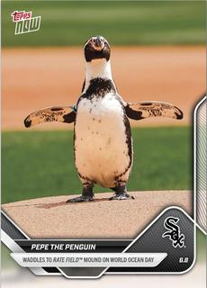 Pepe the Penguin