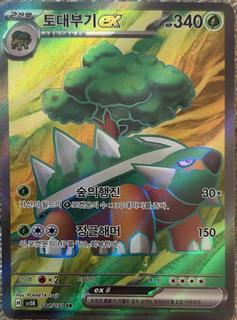 Torterra ex