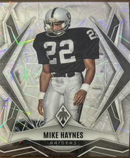 Mike Haynes
