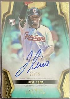 Jose Tena