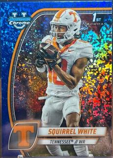 Squirrel White