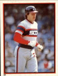 Carlton Fisk