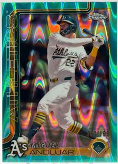 Miguel Andujar