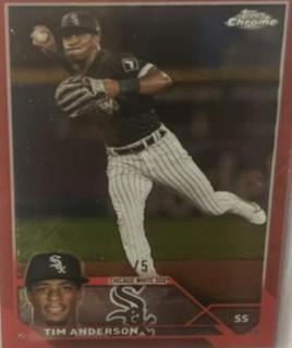 Tim Anderson