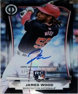 James Wood