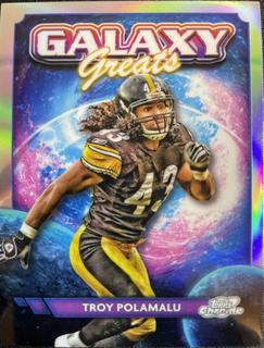 Troy Polamalu