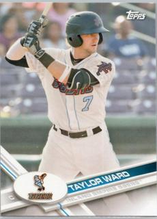 Taylor Ward