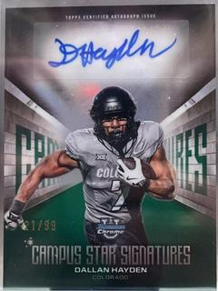 Dallan Hayden