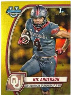 Nic Anderson