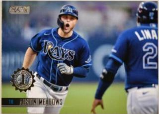 Austin Meadows