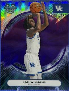 Kam Williams