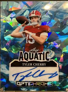 Tyler Cherry