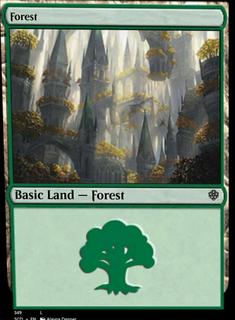 Forest
