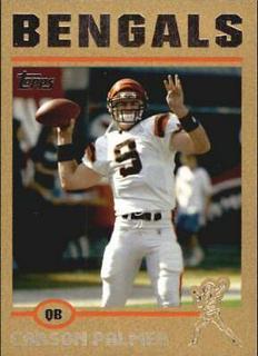 Carson Palmer