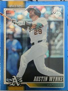 Austin Wynns
