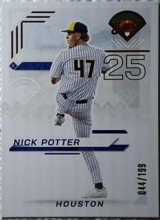 Nick Potter