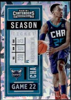 PJ Washington Jr.