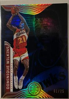 Dominique Wilkins