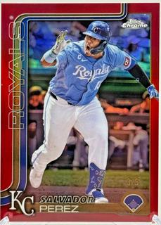 Salvador Perez