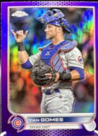Yan Gomes