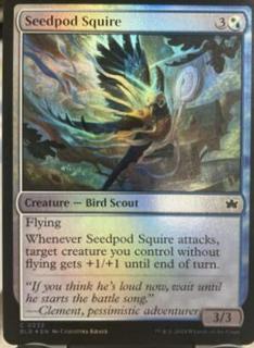 Seedpod Squire