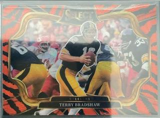 Terry Bradshaw