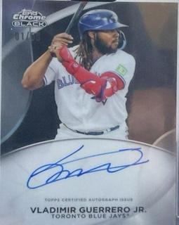 Vladimir Guerrero Jr.