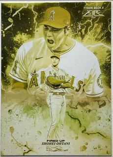 Shohei Ohtani