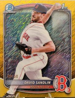 David Sandlin