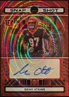 Geno Atkins