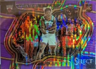 Dalen Terry