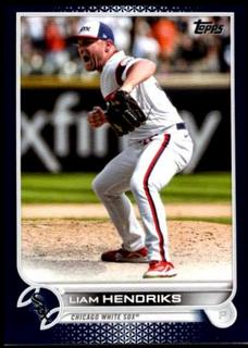 Liam Hendriks