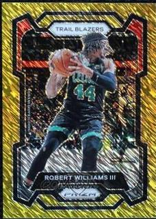 Robert Williams III