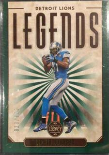 Calvin Johnson