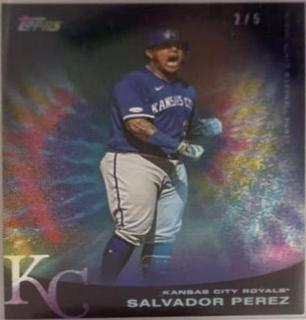 Salvador Perez