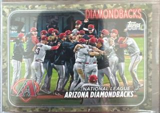 Arizona Diamondbacks