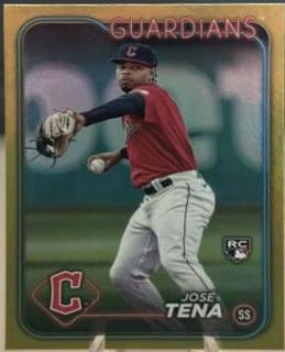 Jose Tena