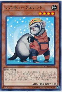 Rescue Ferret COTD-JP029