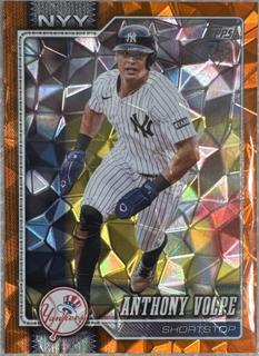 Anthony Volpe